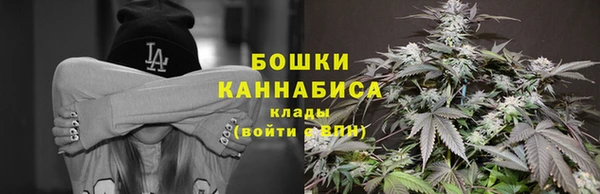 шишки Аркадак