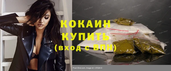 шишки Аркадак