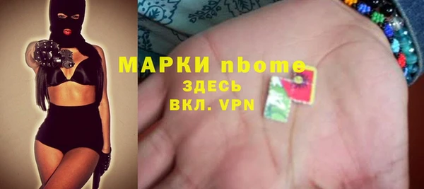 шишки Аркадак