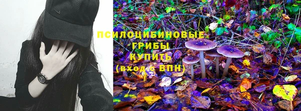 шишки Аркадак