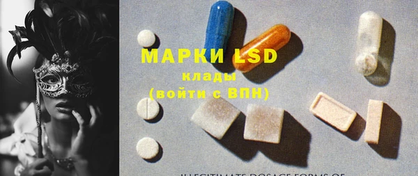 шишки Аркадак