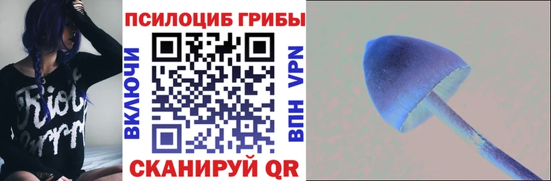 Купить Саров Псилоцибиновые грибы MAGIC MUSHROOMS